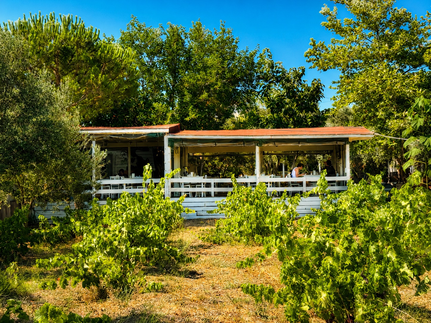 Arşipel Otel bahçe görseli 4